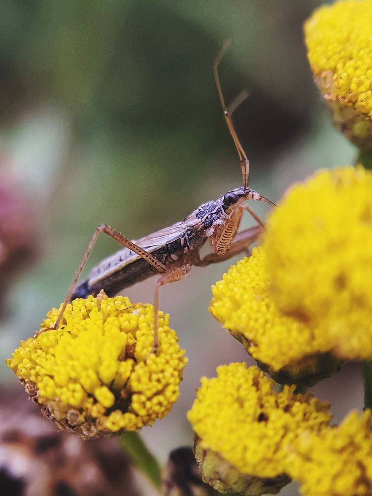 Photograph by Анастасия Немова