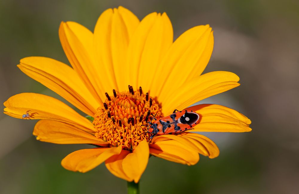 Photograph by Виталий Слёзка