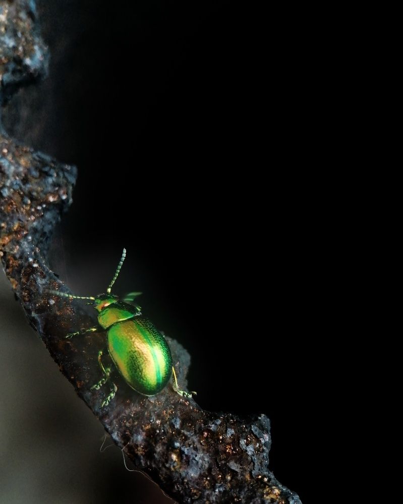 Photograph by Ольга Мокрова