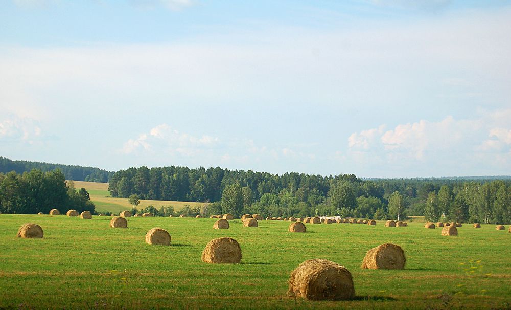 Photograph by Александр Райсон