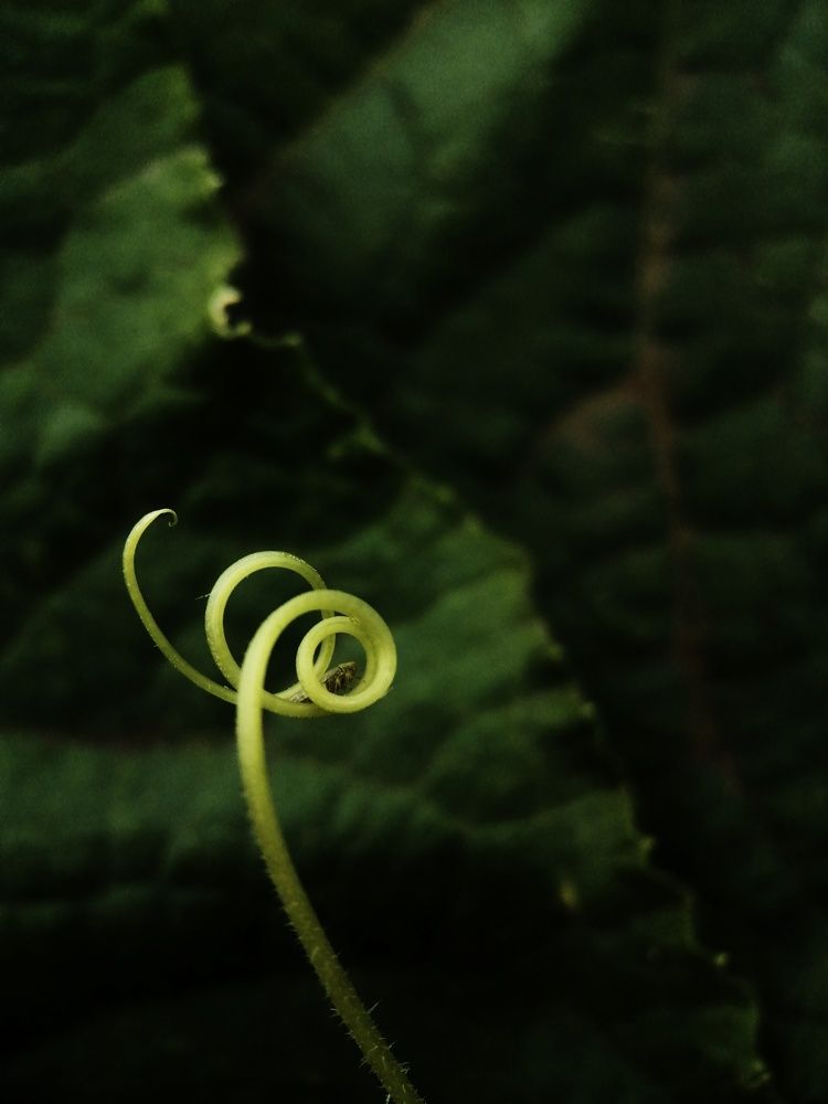 Photograph by Ольга Мокрова