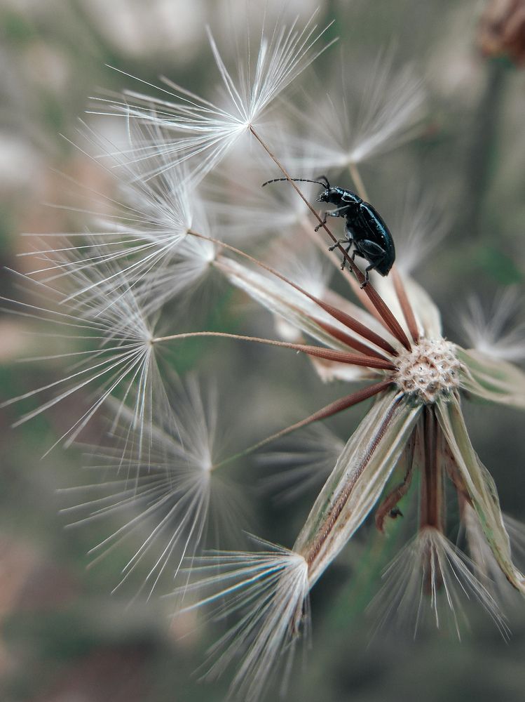 Photograph by Константин Бокарев