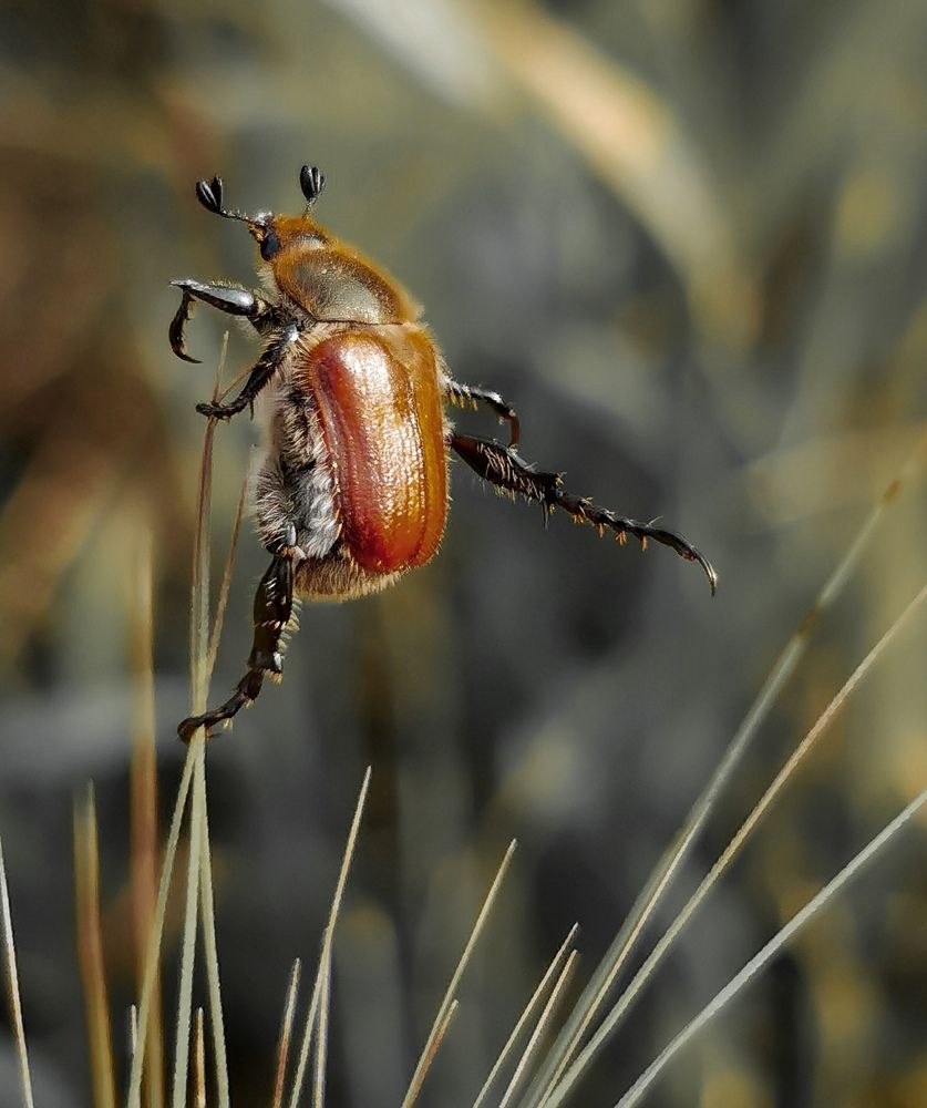 Photograph by Константин Бокарев