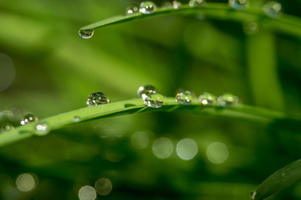 Photograph by Сергей Черкасов