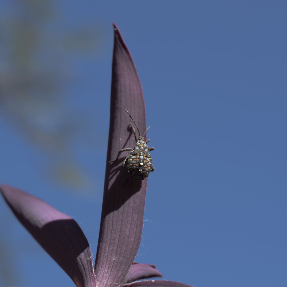 Photograph by Lucía Ruiz