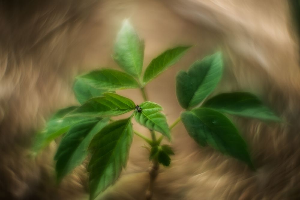 Photograph by Сергей Черкасов