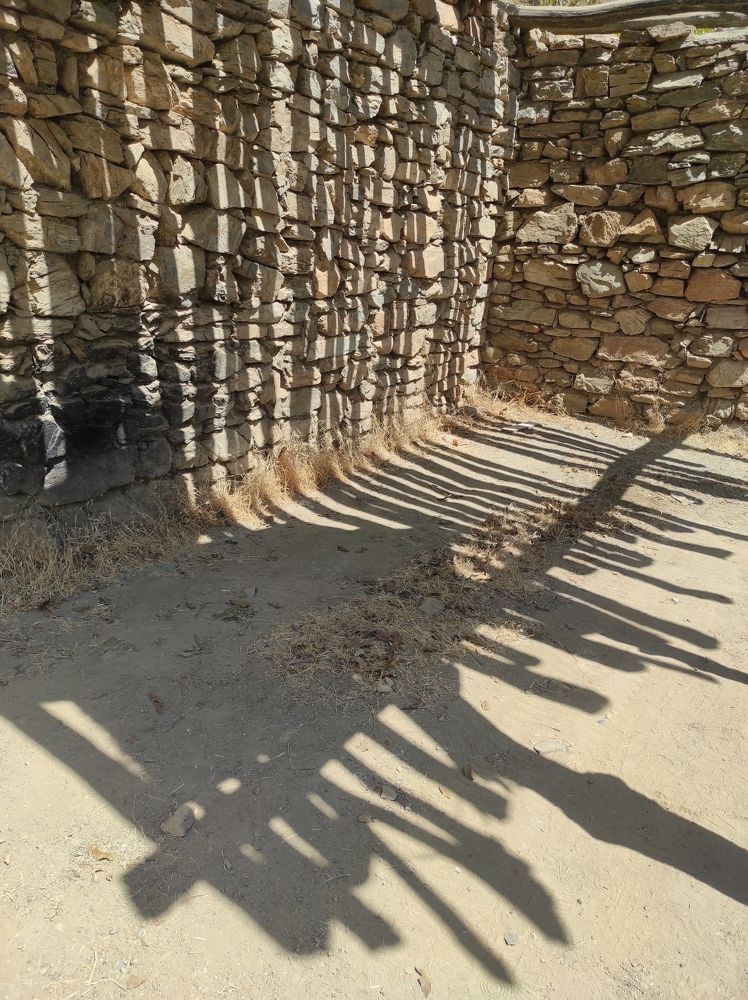 Photograph by syamak azarbad