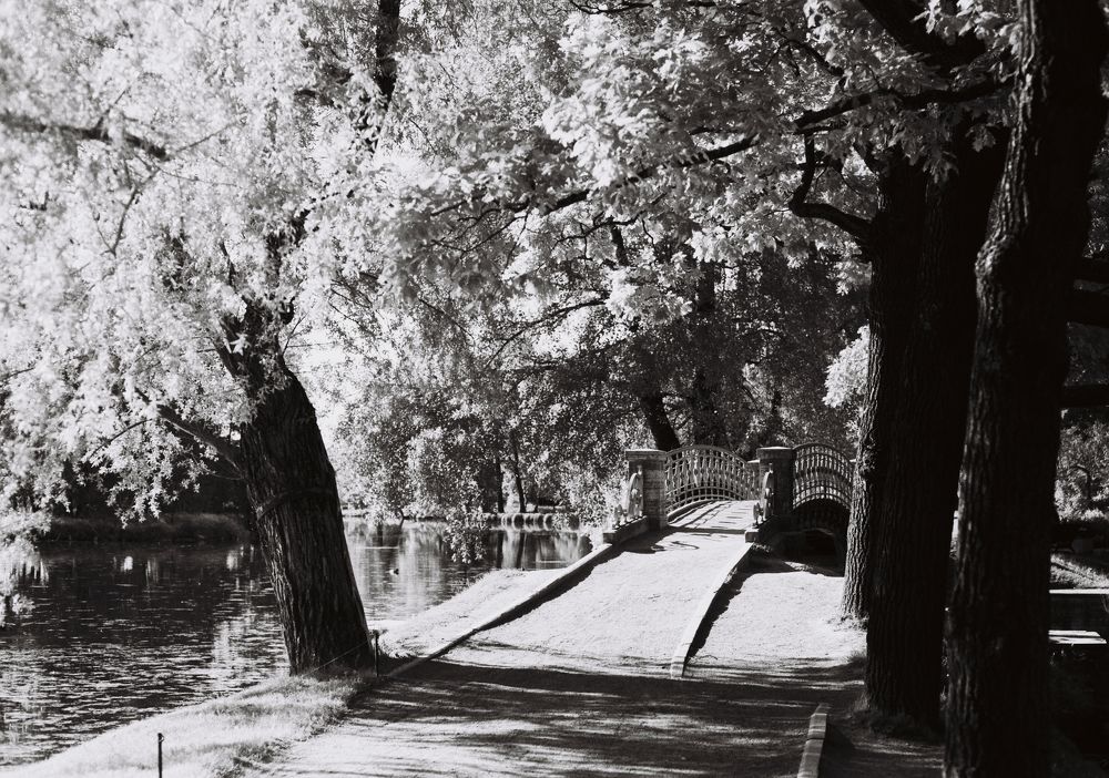 Фотография автора Олег Павлов