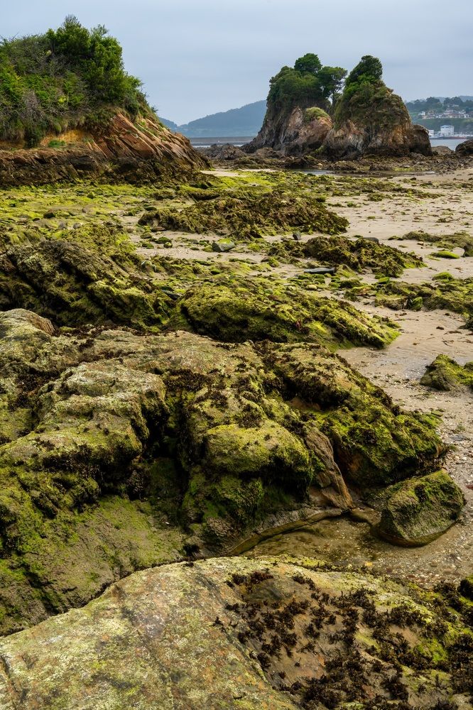 Photograph by Наталья Пирогова