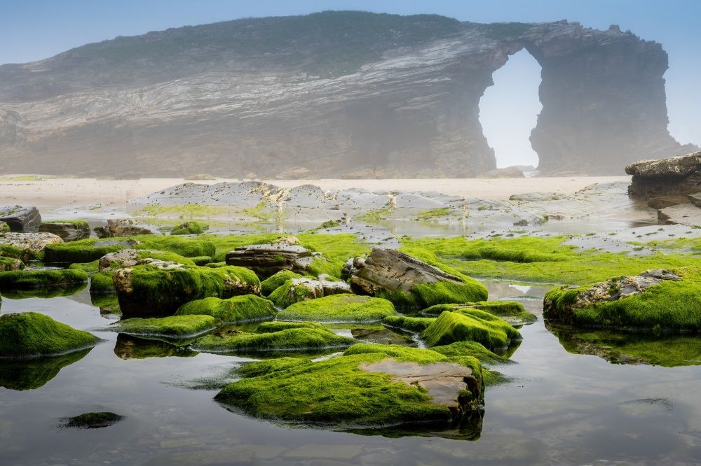 Photograph by Наталья Пирогова