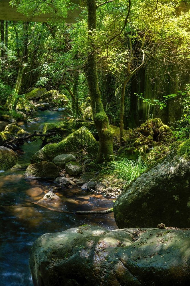 Photograph by Наталья Пирогова