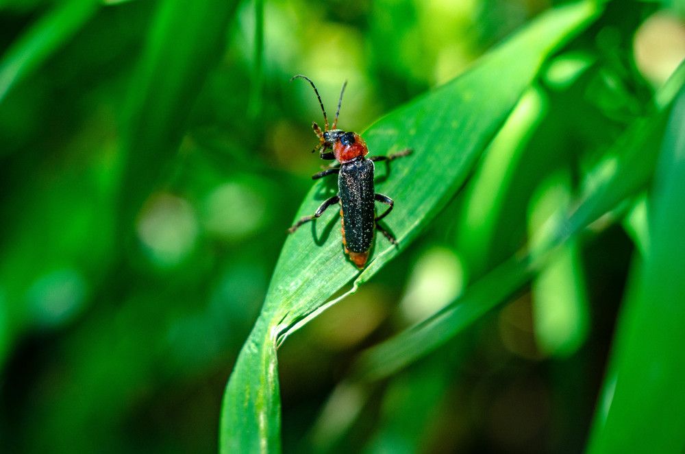 Photograph by Александр Леонов