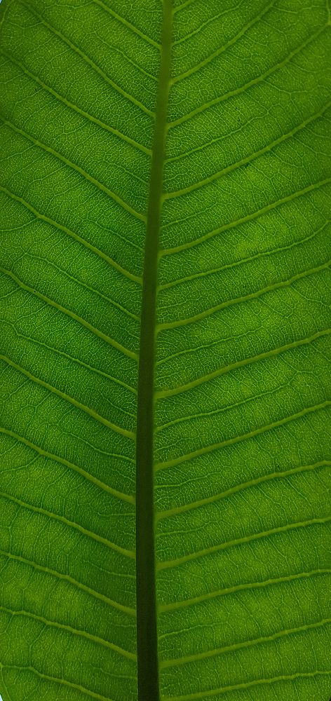 Photograph by Martina Bortoluzzi