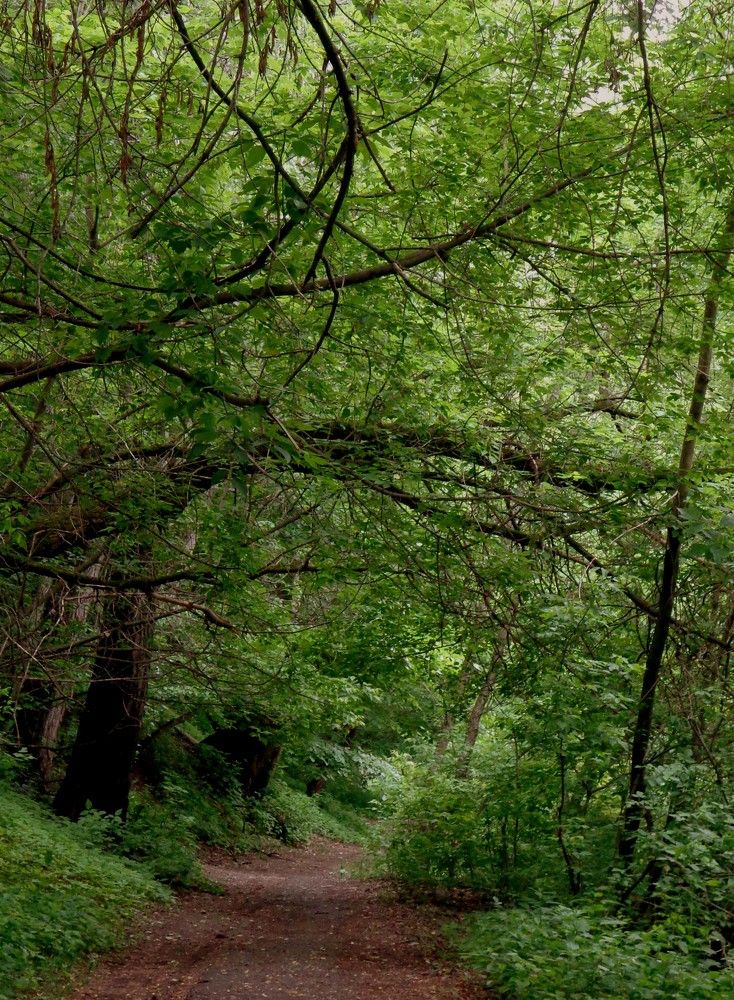 Photograph by Наталья Сазонова