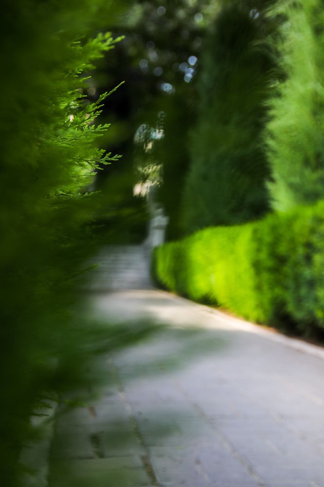 Photograph by Оксана Сафина