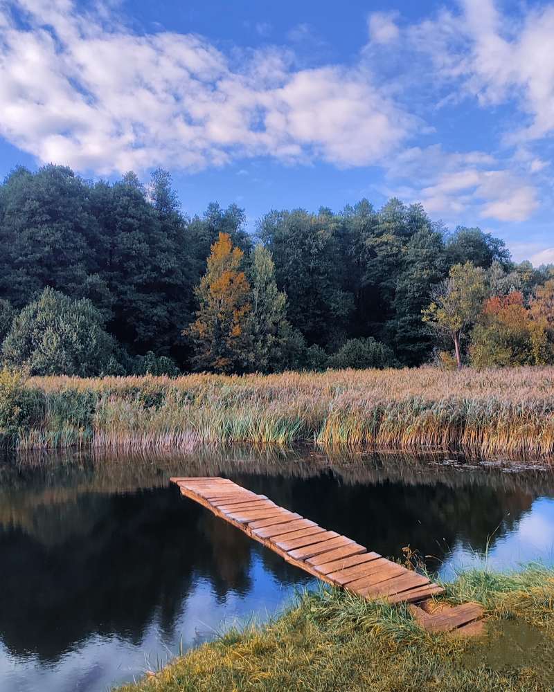 Photograph by Михаил Бородкин