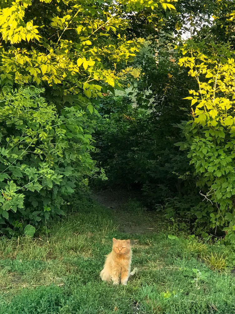 Photograph by Елена Сиушова