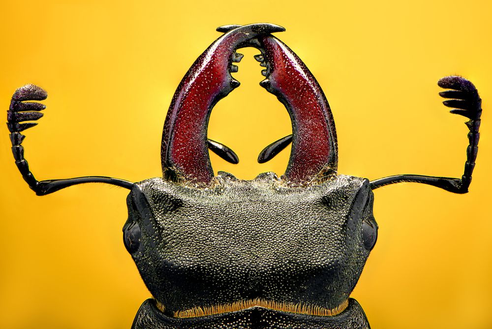 Photograph by Масленников Сергей