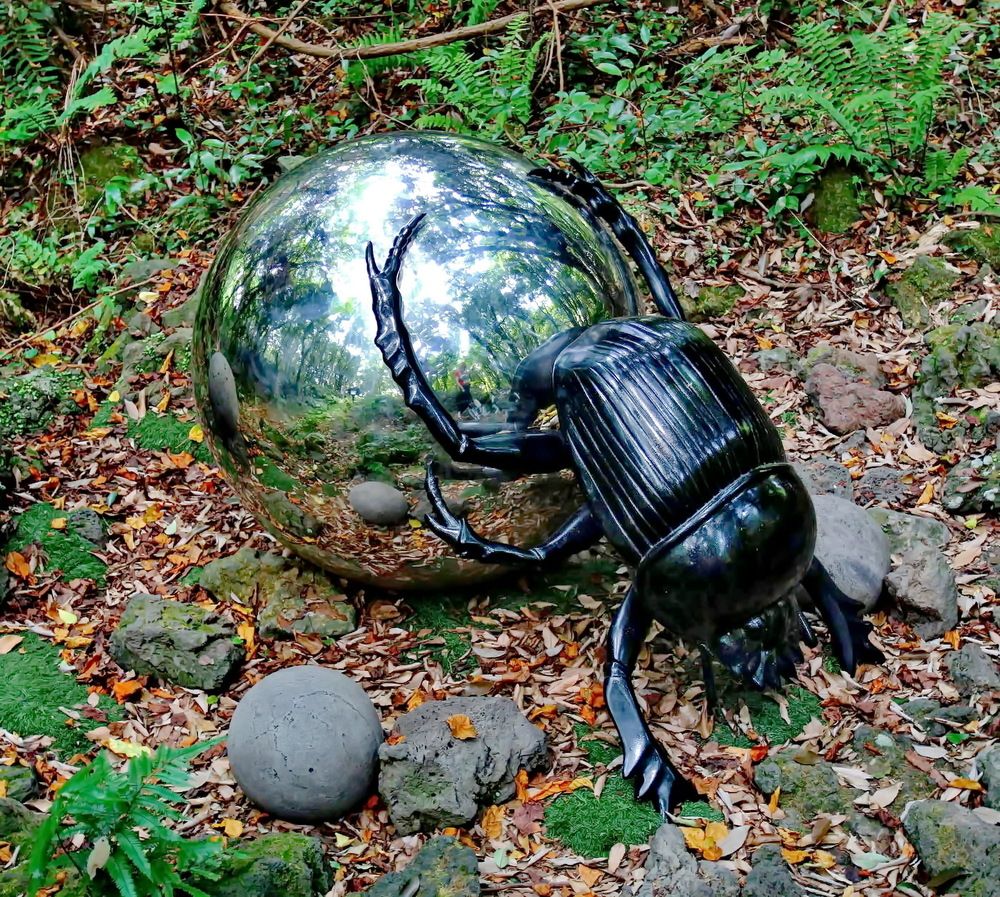 Фотография автора АЛЕКСАНДР ЦЫГЕЛЬНЮК