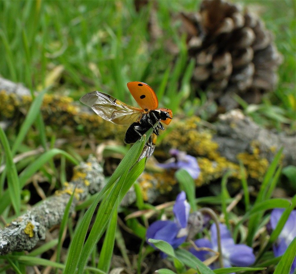 Photograph by Оксана Архипова