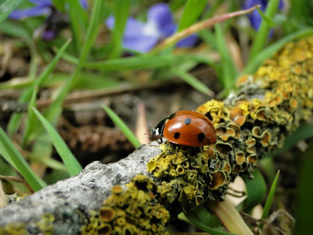 Photograph by Оксана Архипова