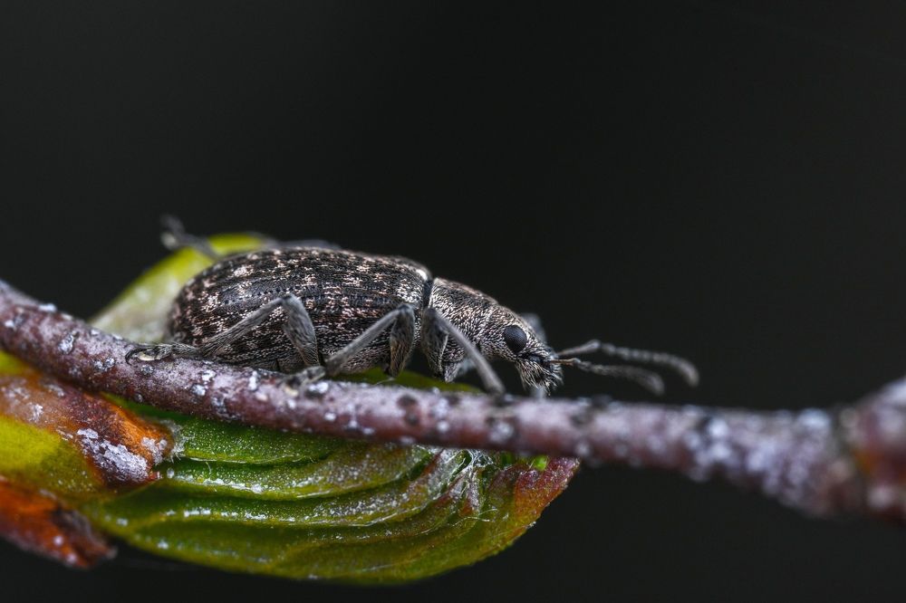 Photograph by Овечкин Павел