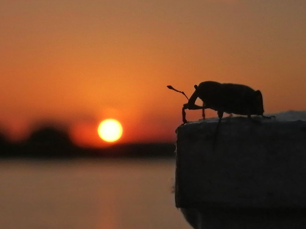 Photograph by Овечкин Павел