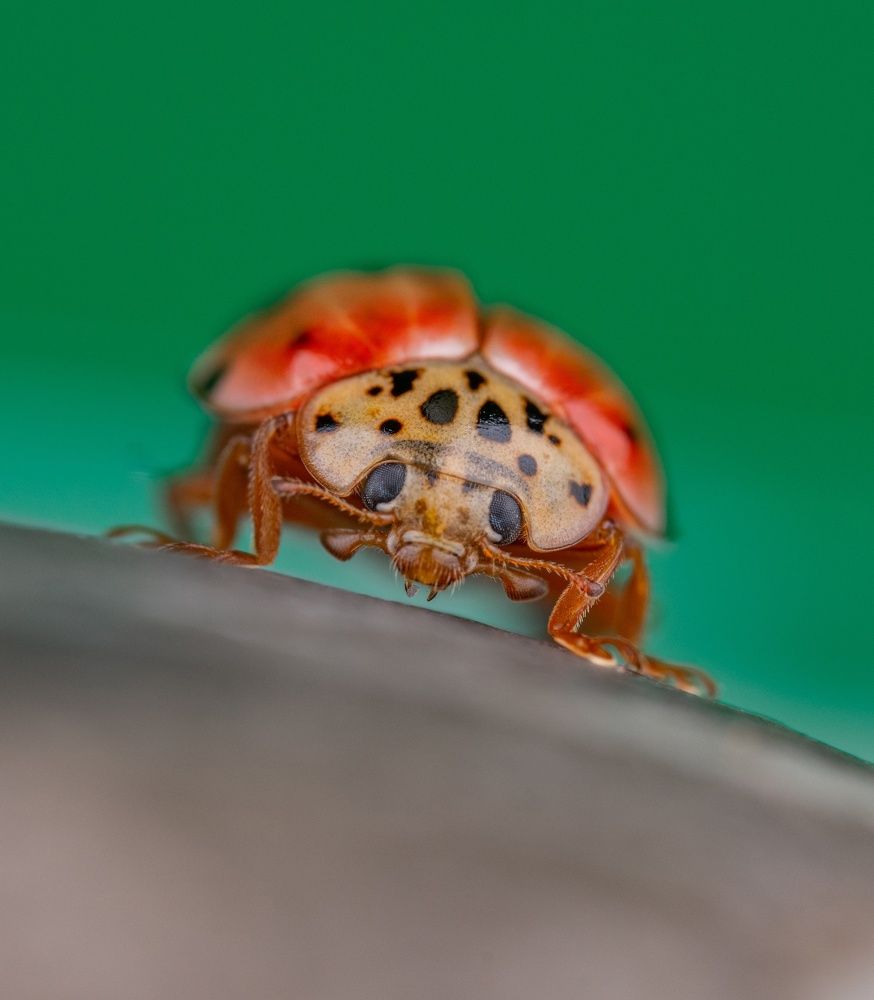 Photograph by Овечкин Павел