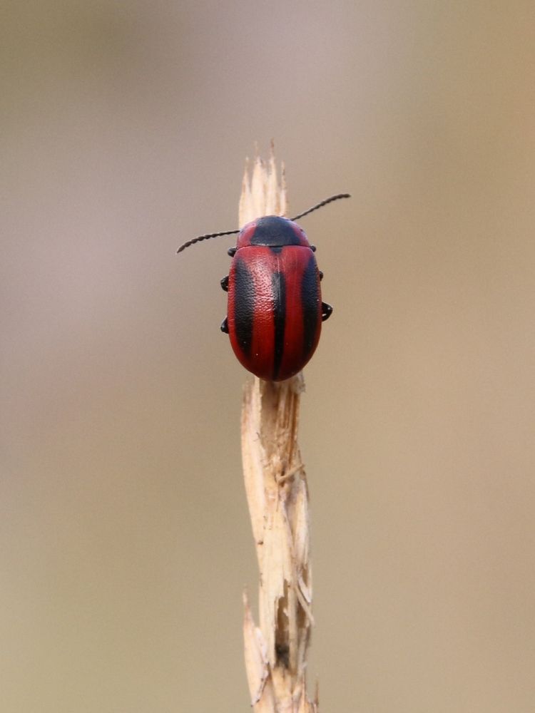 Photograph by Сергей Морозов