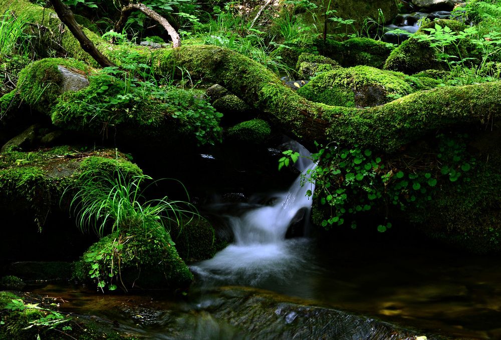 Photograph by Myunggyu Bae