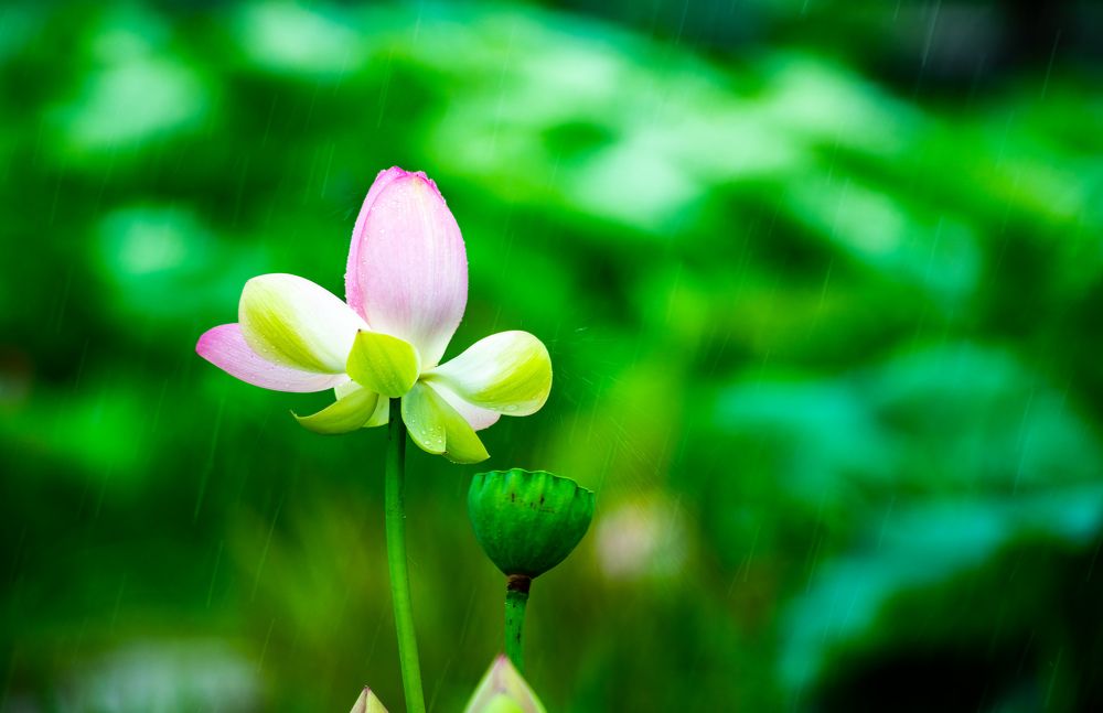 Photograph by Myunggyu Bae