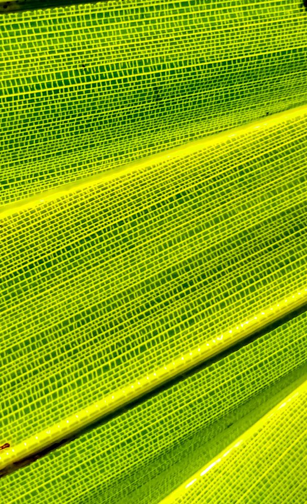 Photograph by KRISHNA CHANDRA DULE