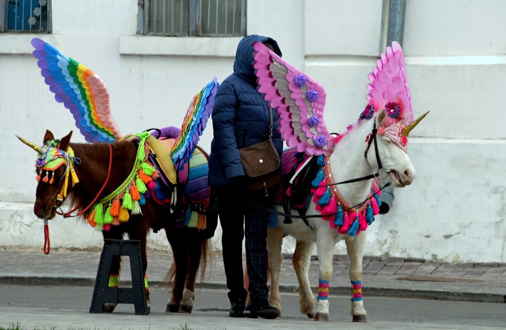 Photograph by Глеб Рубашкин