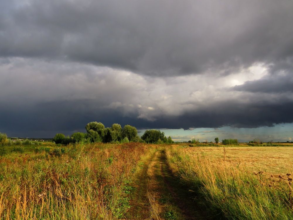 Навстречу тучам