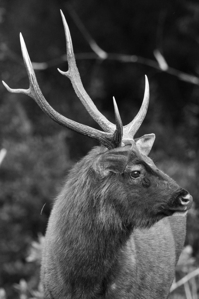 Photograph by Namina Wijetunga