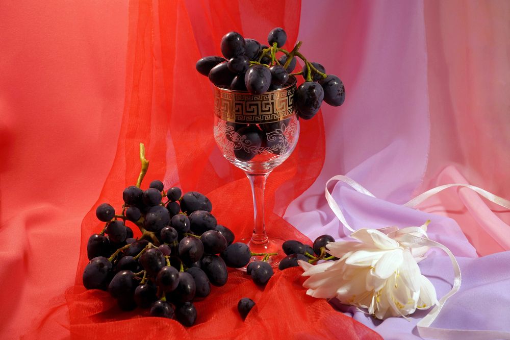 Photograph by Tatiana Glazkova