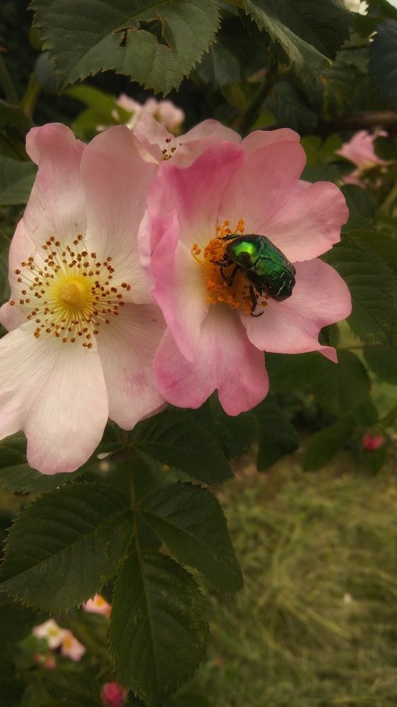 Фотография автора Анна