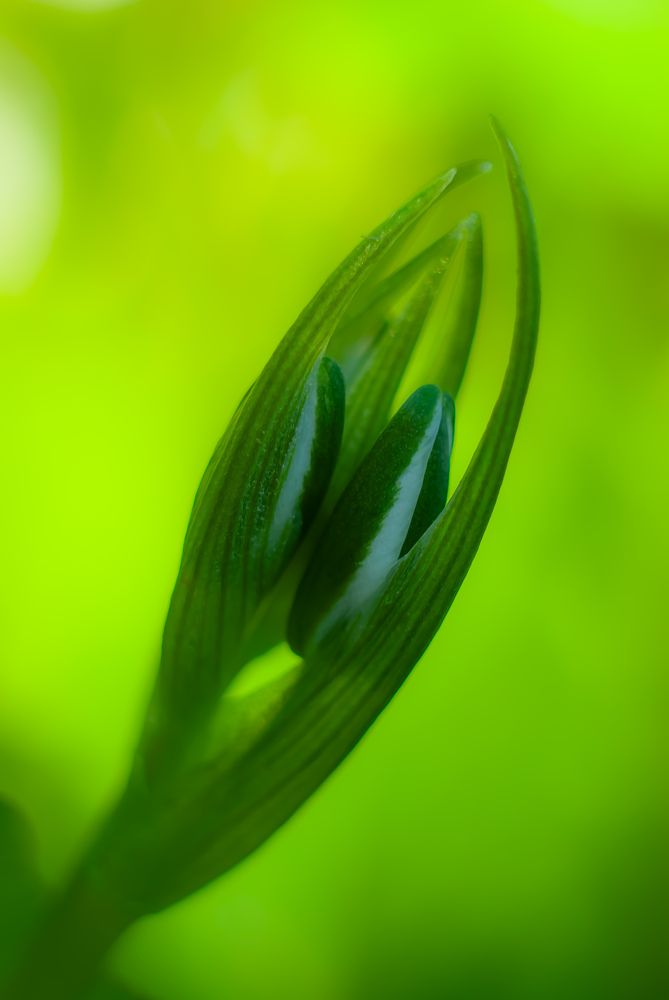 Фотография автора Наталья