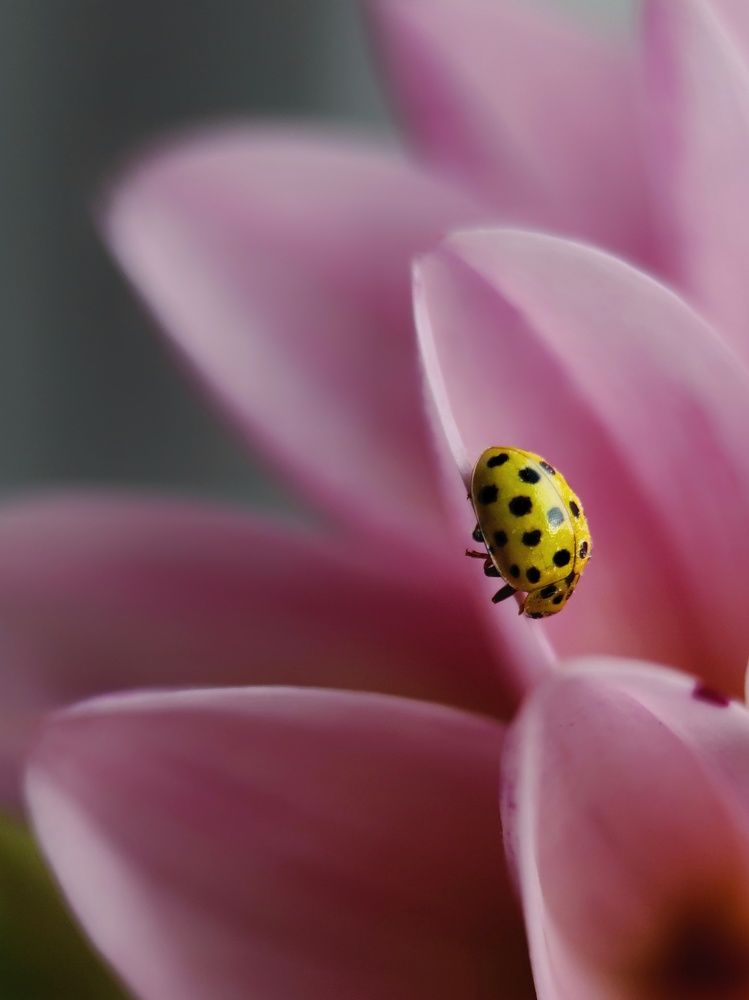 Photograph by Светлана Смирнова