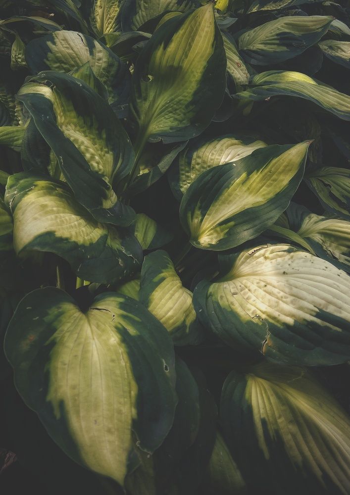 Фотография автора Анна