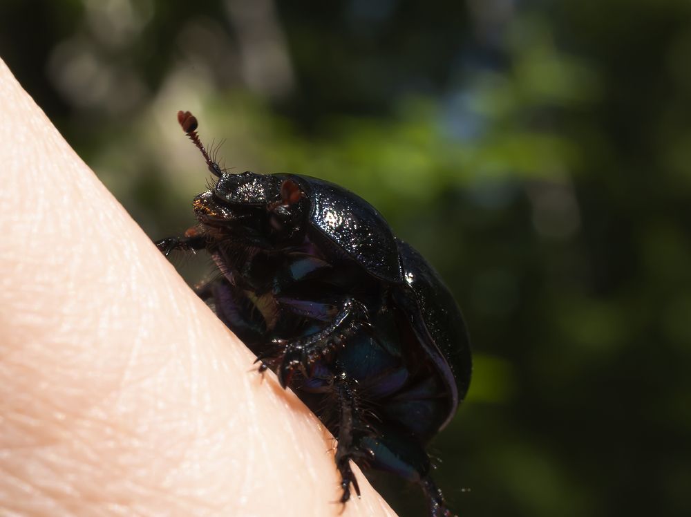 Вверх по высокой лестнице.