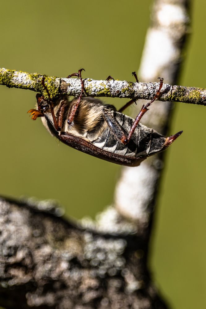Photograph by Сергей Зайцев