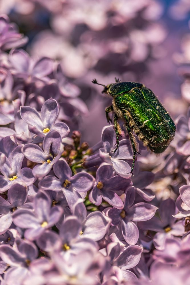 Photograph by Сергей Зайцев