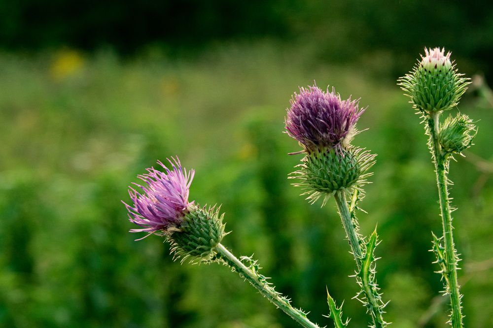 Photograph by Kipkaev Oleg