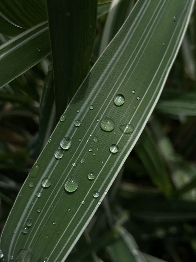 Photograph by Оксана Сидоренко