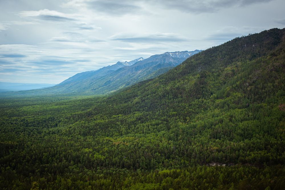 Майская зелень гор