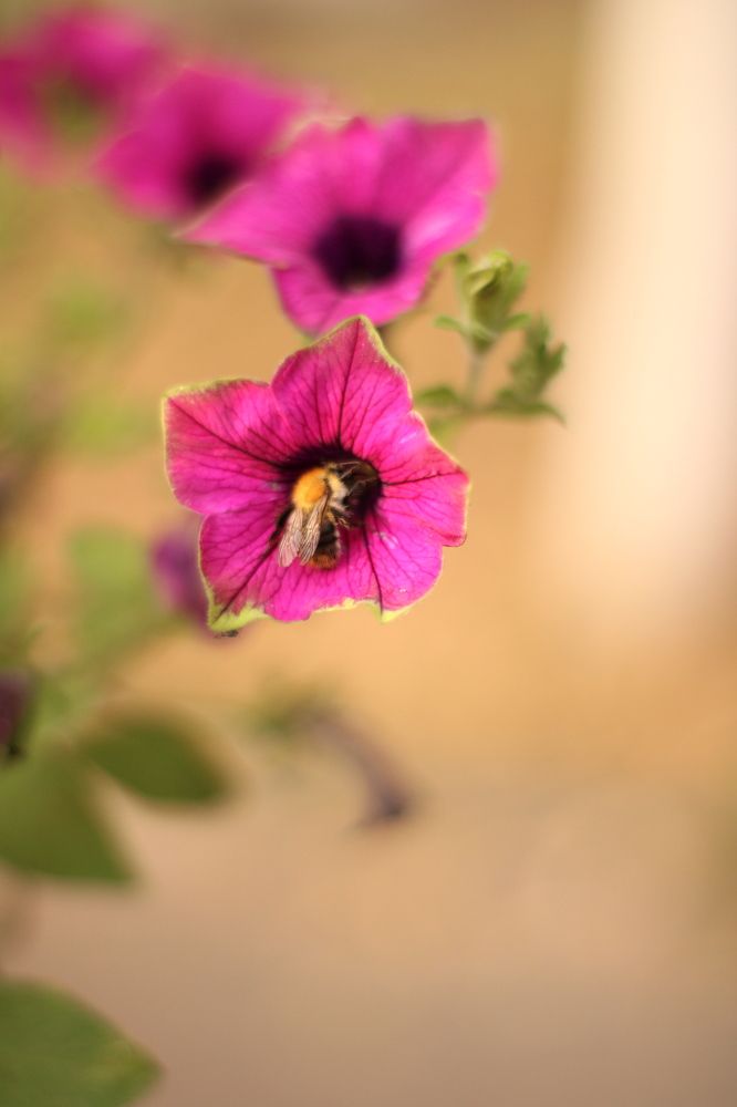 Photograph by Анастасия Липаткина