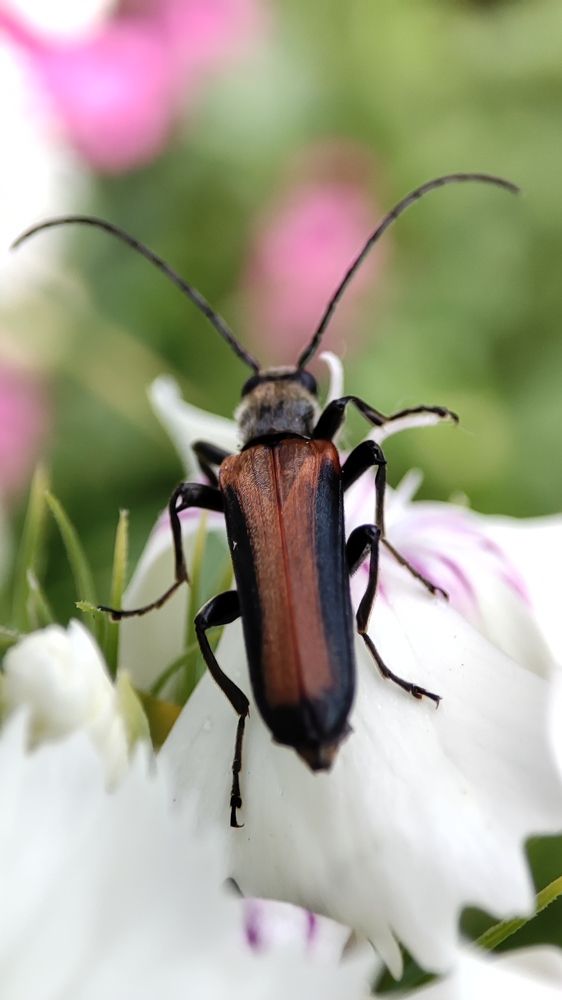 Photograph by Кадырова Анастасия