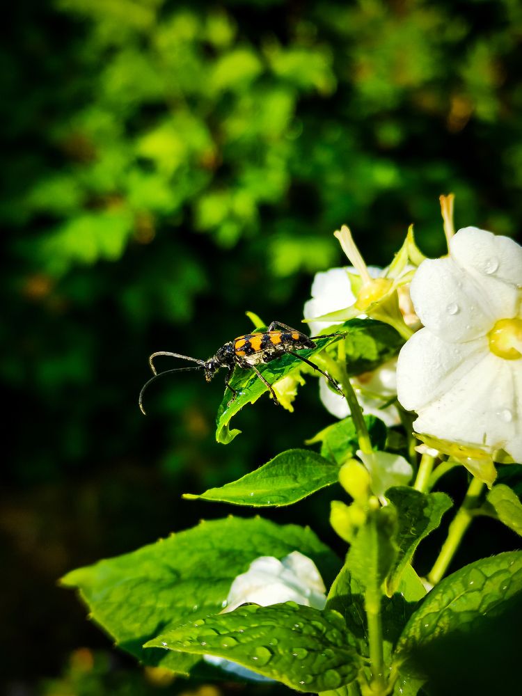 Photograph by Алёна Красова