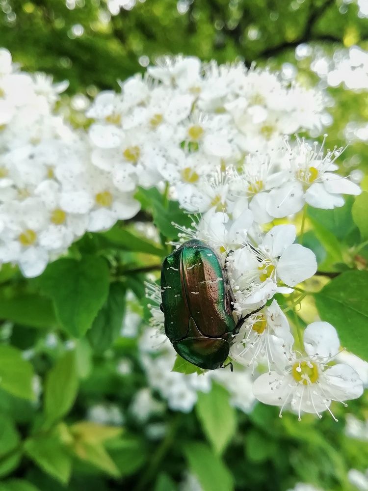 Photograph by Екатерина Чижевская